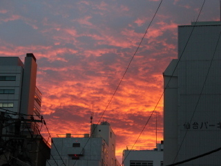001.JPG